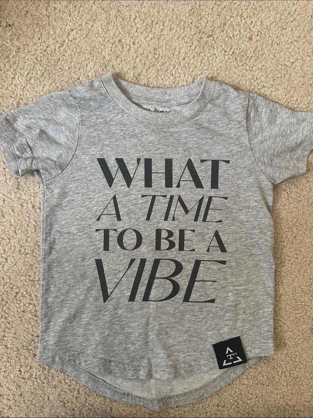 Kids Gray Graphic Tee - What A Time To Be A Vibe